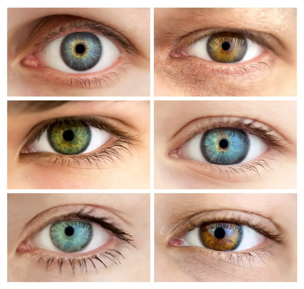 تغییر رنگ چشم و تاثیر انواع رنگ چشم بر بینایی - دکترعینک